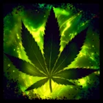 Logo of Weed Rasta Keyboard android Application 